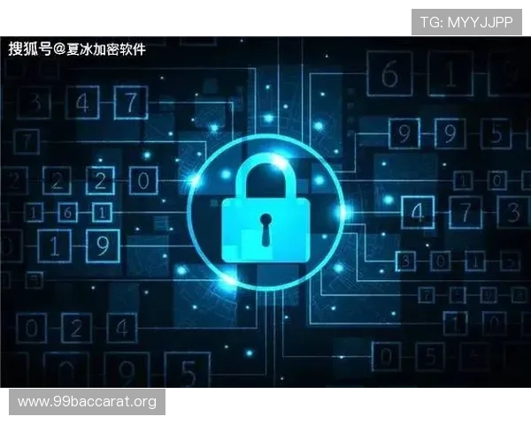 百家乐游戏官网正规平台，保障玩家资金安全与隐私保护措施